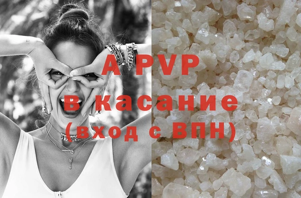 гашик Корсаков