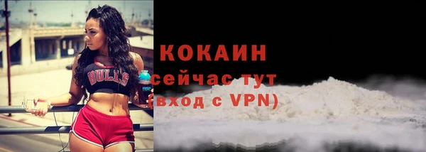 гашик Корсаков