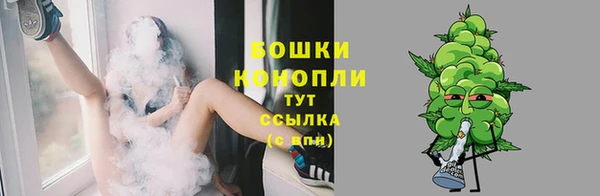 гашик Корсаков