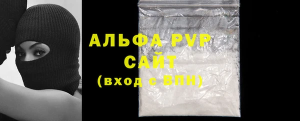 гашик Корсаков