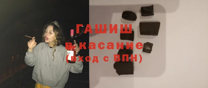 гашик Корсаков