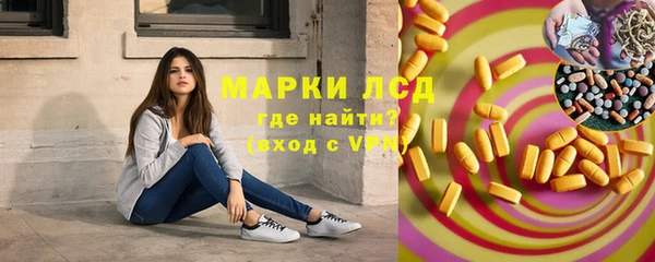 гашик Корсаков